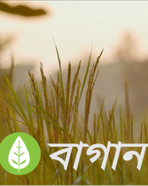 ভালোবাসার সফর দৃশ্যপট ১: বাগান